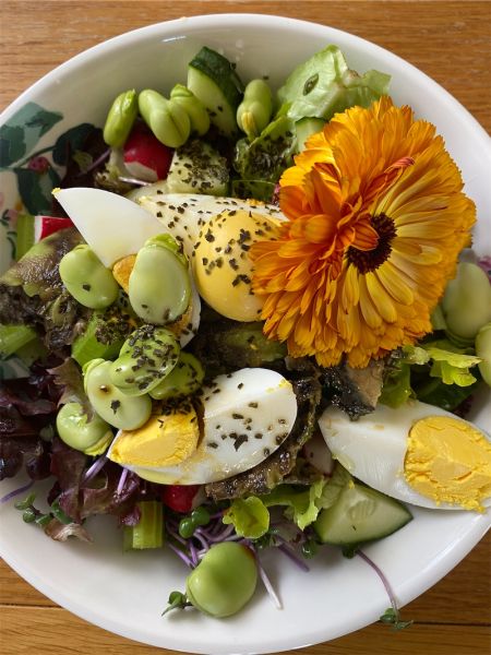 The best way to improve your overall health? Food!